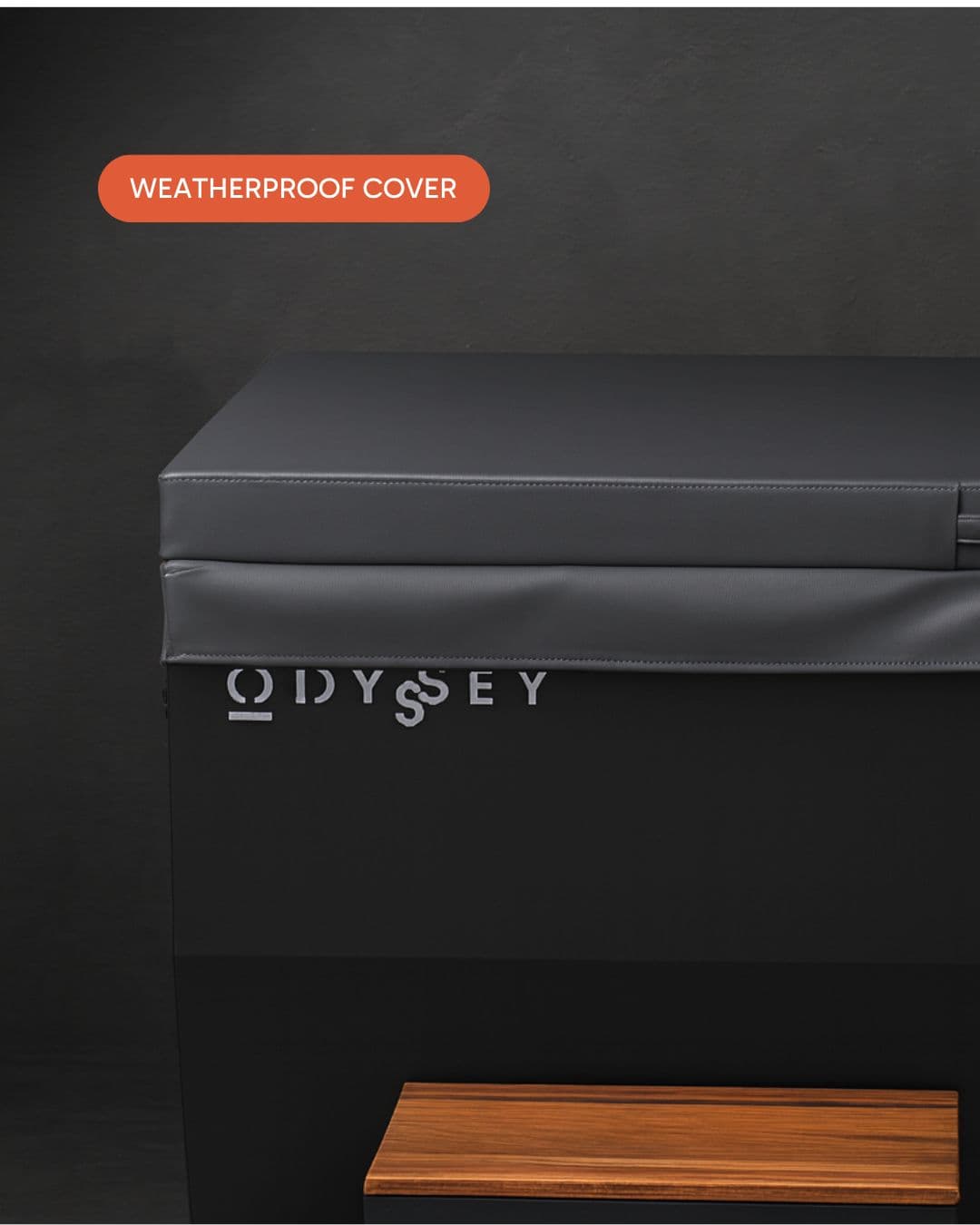 THE TITAN — image 5